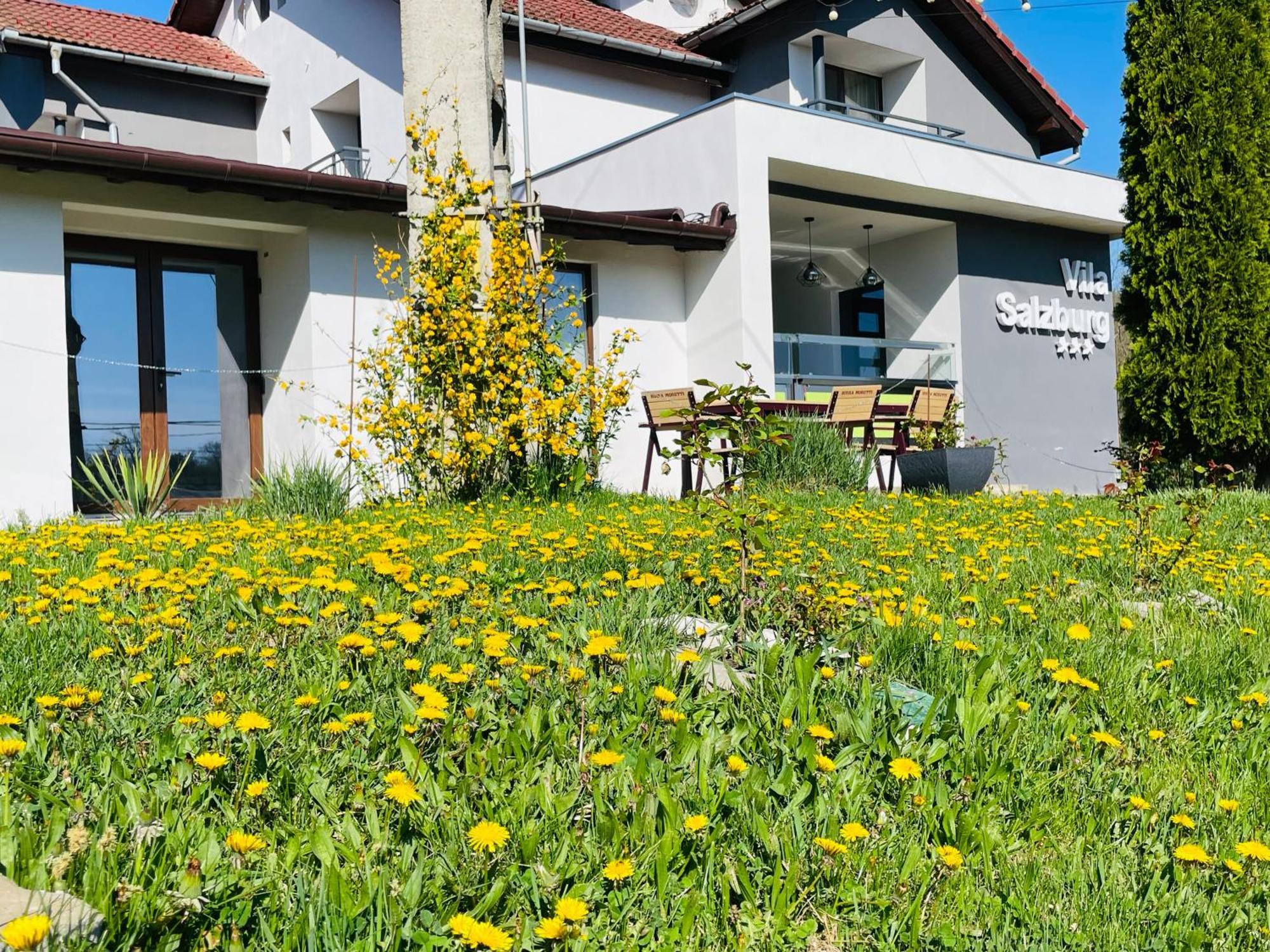 מלון אוקנה סיביולוי Vila Salzburg מראה חיצוני תמונה